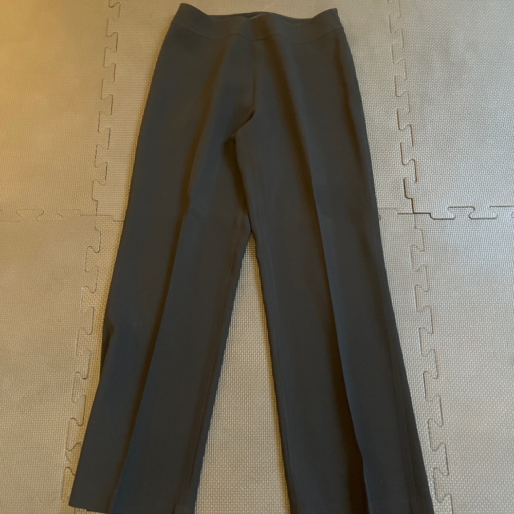 Ann Taylor women’s Dress pants